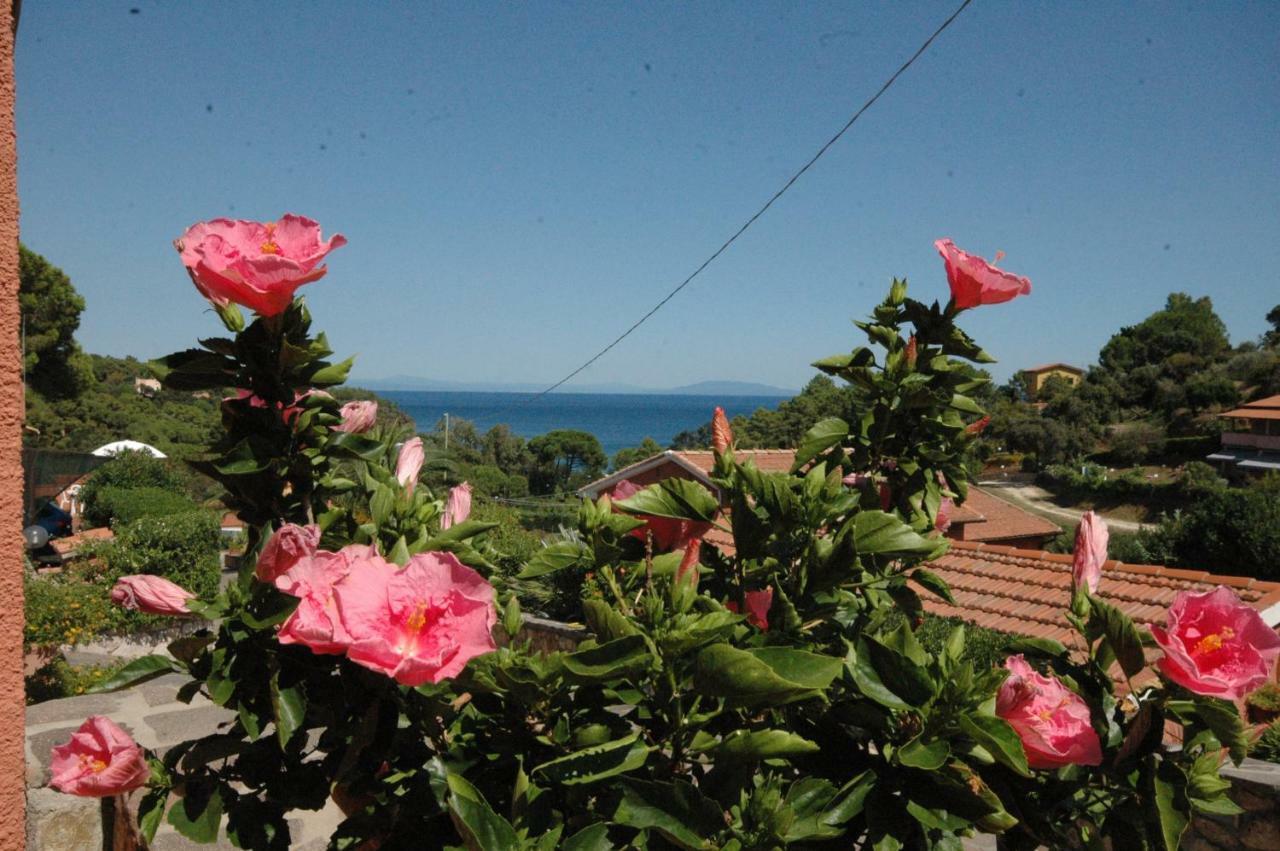 Apartment Franca Capoliveri (Isola d'Elba)